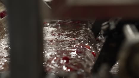 strawberries in water being cleaned and washed in a factory