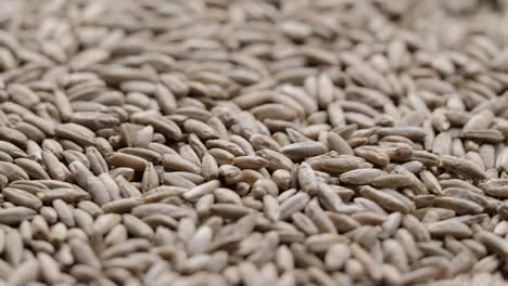 close up of rotating pile of raw rye seeds