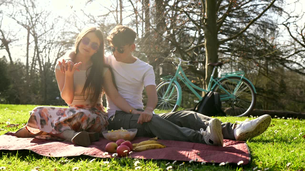 공원 에서 피크닉 을 즐기는 부부