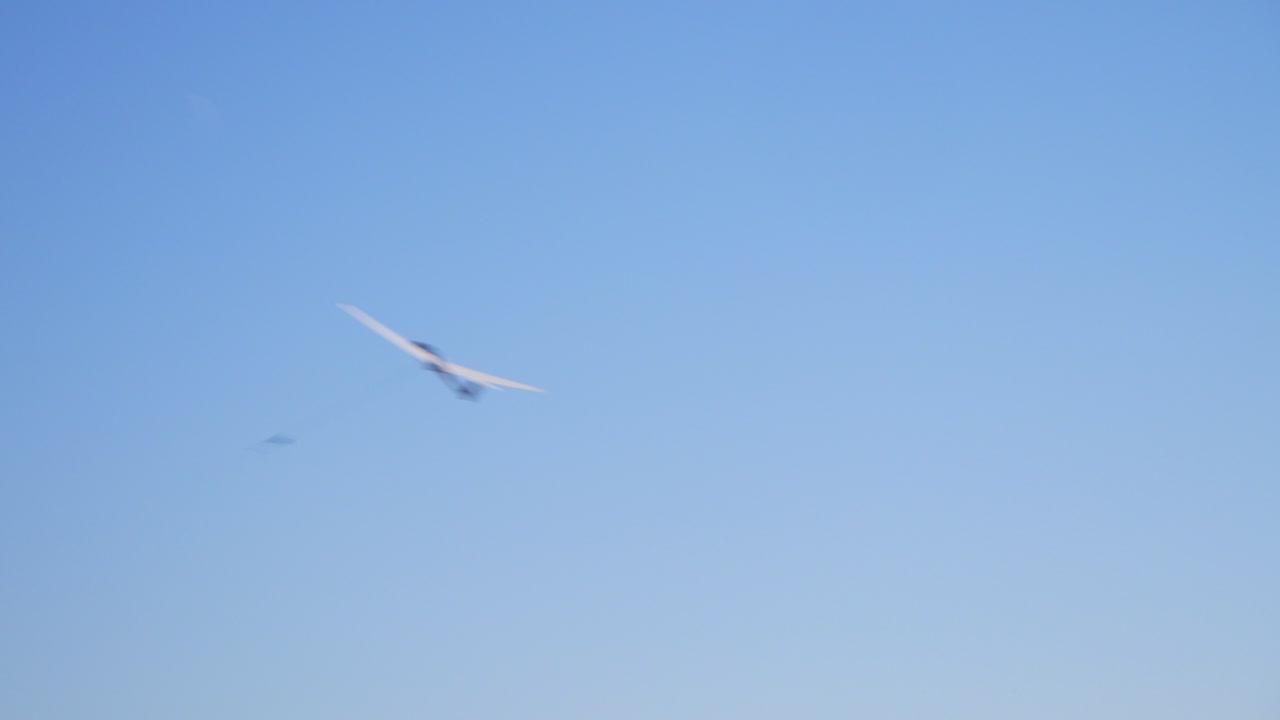 푸른 하늘 아래 오른쪽에서 왼쪽으로 이동하는 와이어에서 시작, 오름차순 글라이더 아래에서 보기