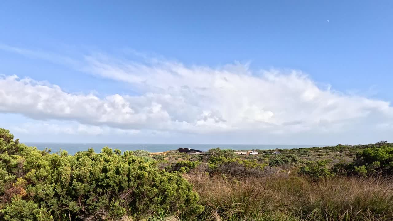 아름다운 해안 풍경과 울창한 초록색