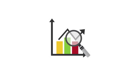 statistics bars and magnifying glass