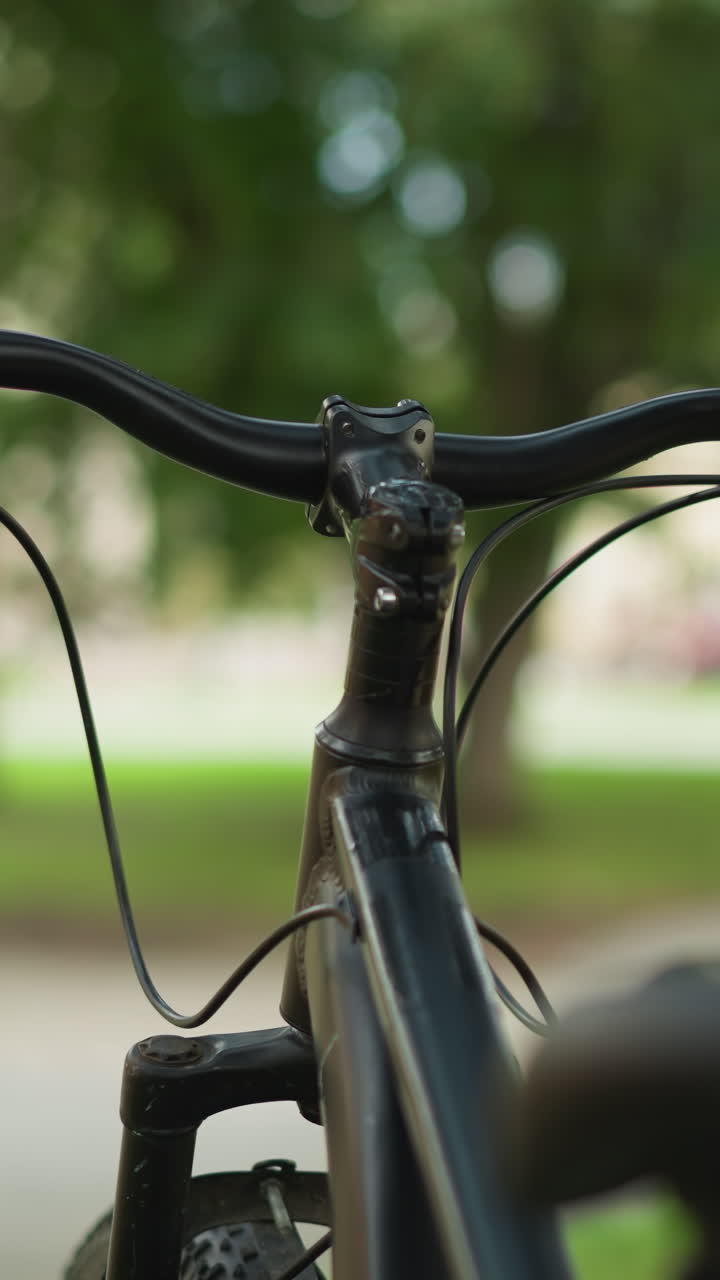 primer plano del manillar de la bicicleta y el marco delantero apoyado contra un árbol en un parque verde exuberante con un fondo borroso de árboles y edificios distantes