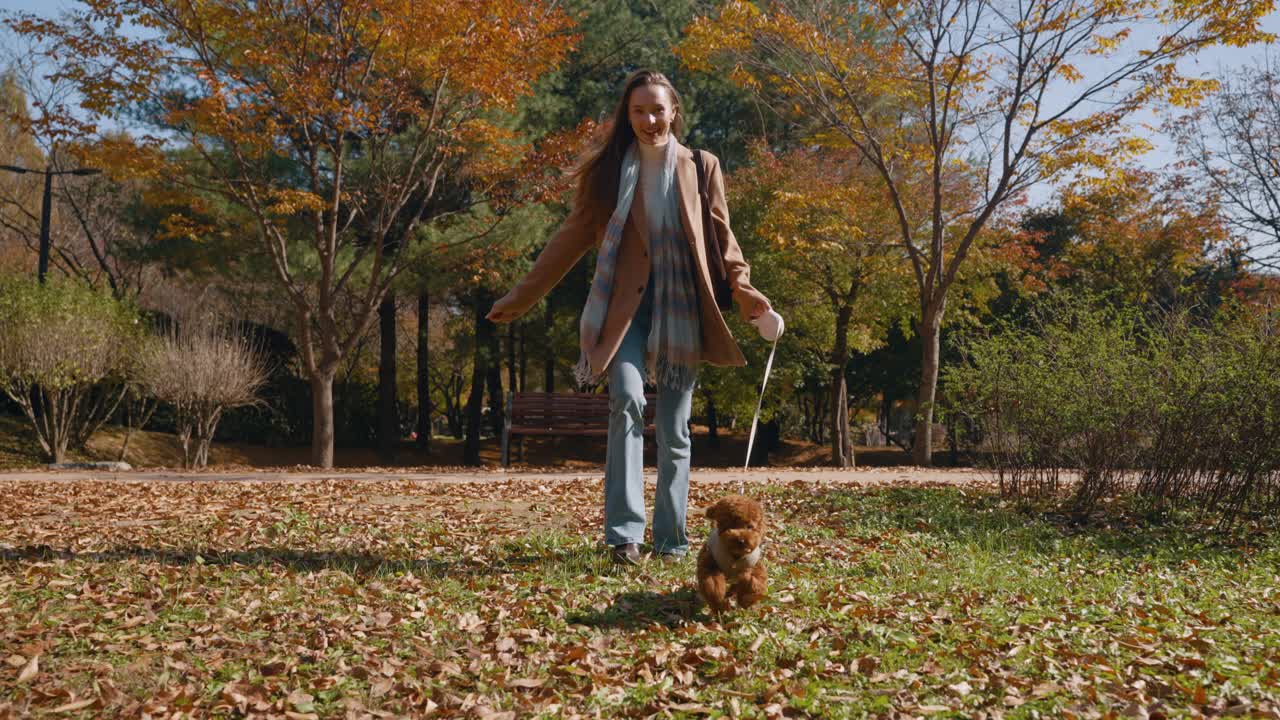 feliz perro caniche de juguete en la correa corriendo junto con la joven dueña a pesar del vibrante parque de otoño prado con árboles coloridos - vista delantera