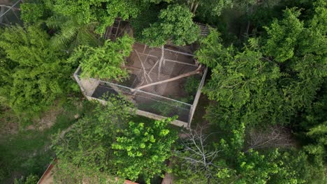 Wild-Puma-in-a-cage-in-an-animal-rescue-center-in-Bolivia