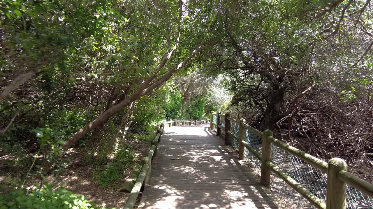 caminando por la pasarela de madera vacía en la playa de boulders en ciudad del cabo, sudáfrica