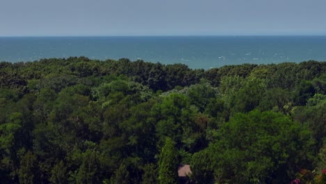 An-aerial-view-of-a-vineyard-in-the-Hamptons,-New-York-on-a-sunny-day