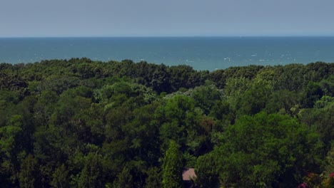 an aerial view of a vineyard in the hamptons, new york on a sunny day
