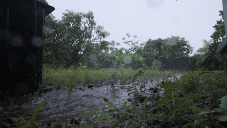 Heavy-monsoon-rain-pouring-into-small-puddle-in-garden