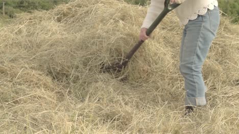 farmer turning hay stack with fork