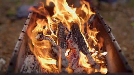 closeup on wood burning in barbecue placed vertically to camera in forest.