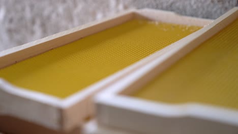 bees on a wooden frame for a beehive. rack focus shot