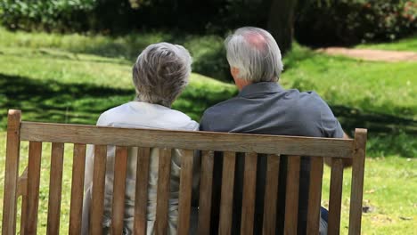 elderly couple looking at something sitting on a bench