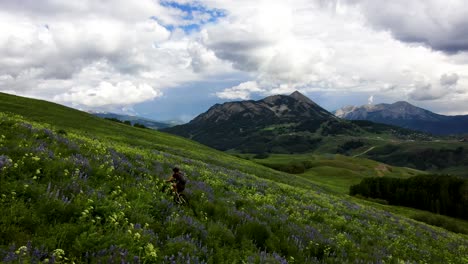 MTB-Fahrerin-Am-Berghang,-Umgeben-Von-Wildblumen