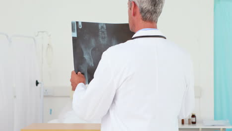 wear view of doctor looking at xray