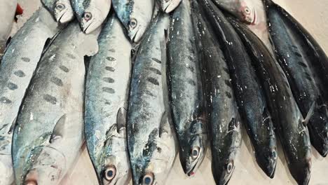 fresh seafood on display for sale in a fish market