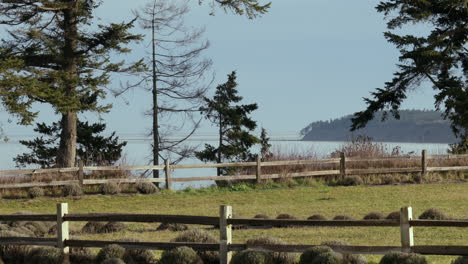 beautiful scenery at the countryside overlooking the calm blue ocean on a sunny day in port angeles, washington, usa