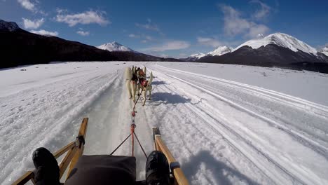 husky dog sled ride in snow with mountain view in argentina ushuaia