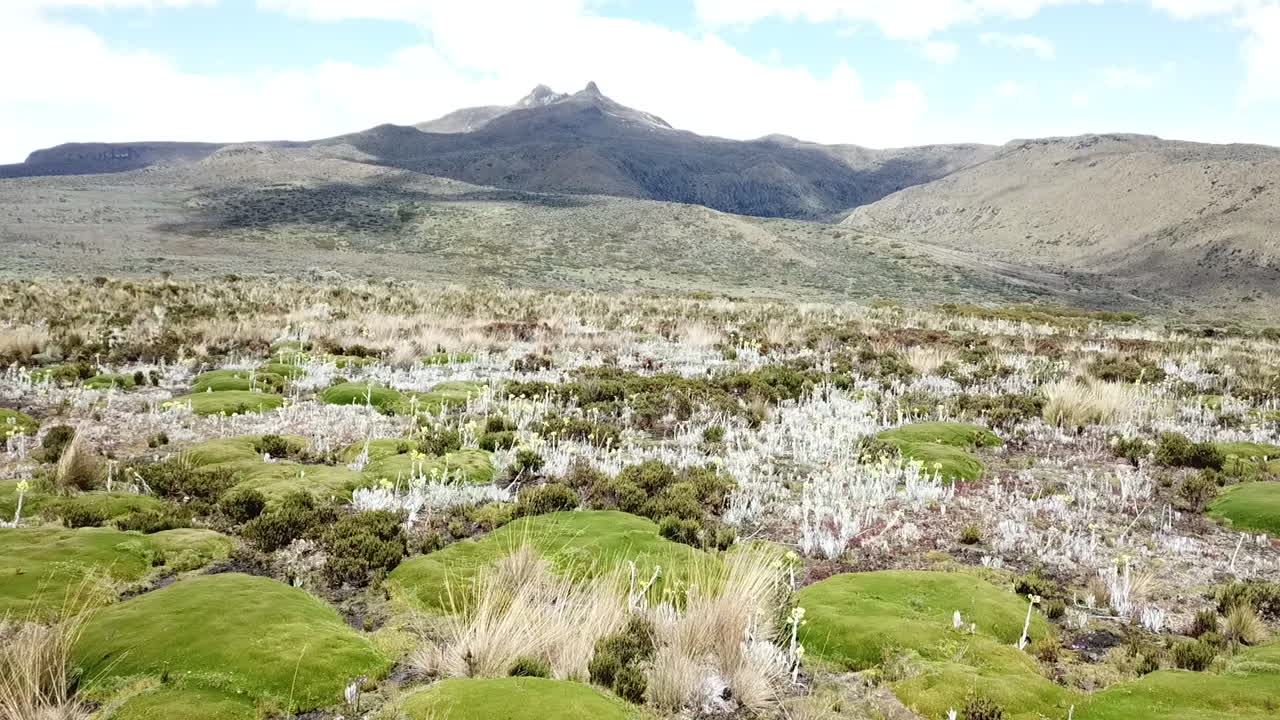 Low altitude done shot flying over grassland in a Colombian mountain range