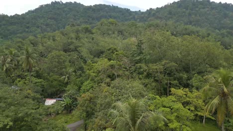 Toma-Aérea-De-Casas-Dentro-De-Una-Espesa-Jungla-Con-Montaña-Al-Fondo