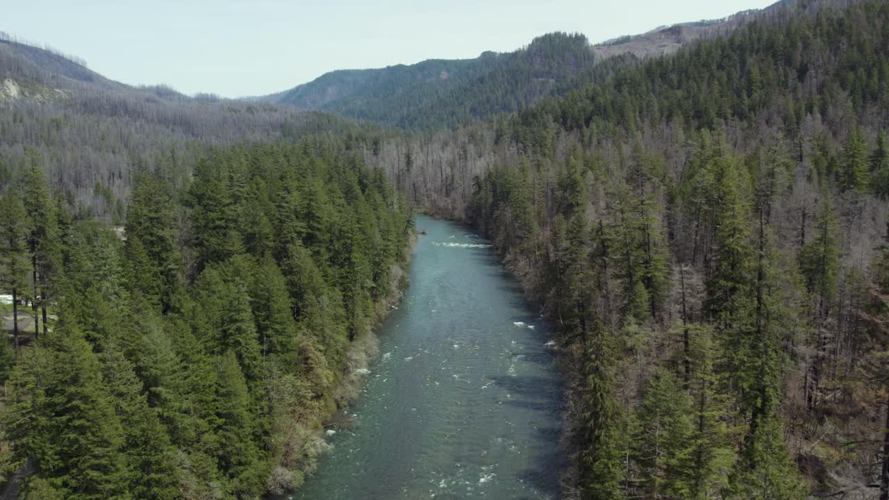 umpqua national forest river en el sur de oregón, vuelo aéreo de aviones no tripulados en verano