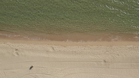 Overhead-view-of-sea-coast.-Crystal-clear-water-washing-sand-beach.-Unknown-person-walking-in-hot-sand-on-sunny-day.-Barcelona,-Spain