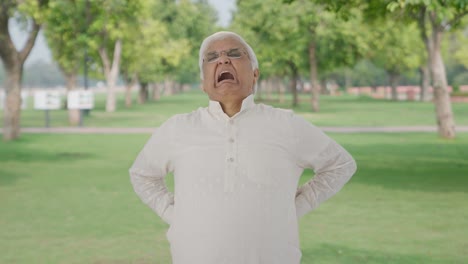 Sick-Indian-old-man-suffering-from-back-pain-in-park