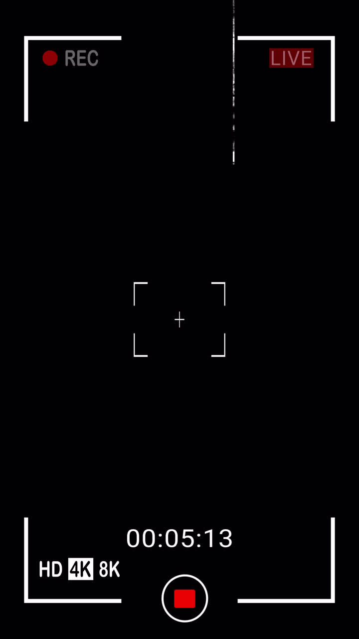Digital Camera Recording Interface with Glitch Effect