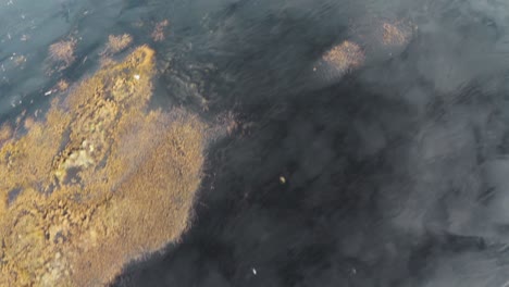 Aerial-view-of-unique-coastal-bushes-on-Stokksnes-black-sand-beach-with-imposing-Vestrahorn-saw-tooth-mountain-jutting-into-sky