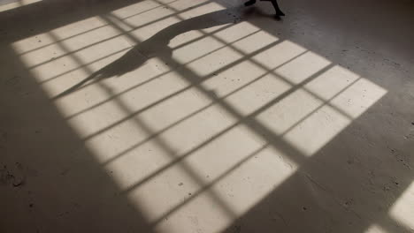 danza, actuación y sombra de la persona