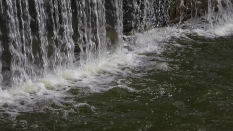 agua natural cayendo en las cataratas en un bosque