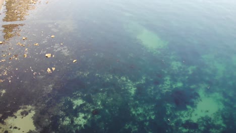 Aerial-forward-shot-of-crystal-blue-waters-at-Littlecombe-Shoot-beach-near-Branscombe-Devon-England