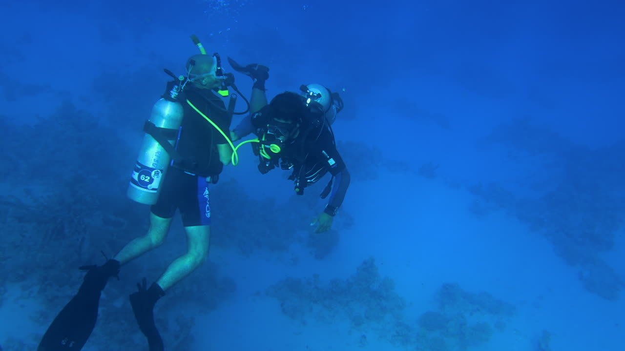 Divers swimming and exploring in the red sea