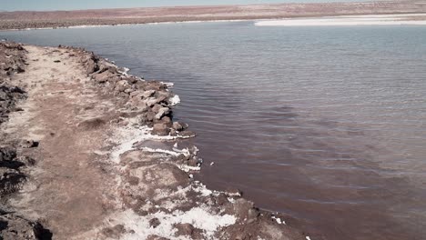 baltinache lagoon, atacama desert, chile, south america