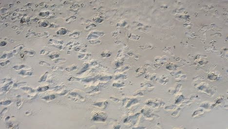 aerial: ascending shot of human footprints in the sand on a beach