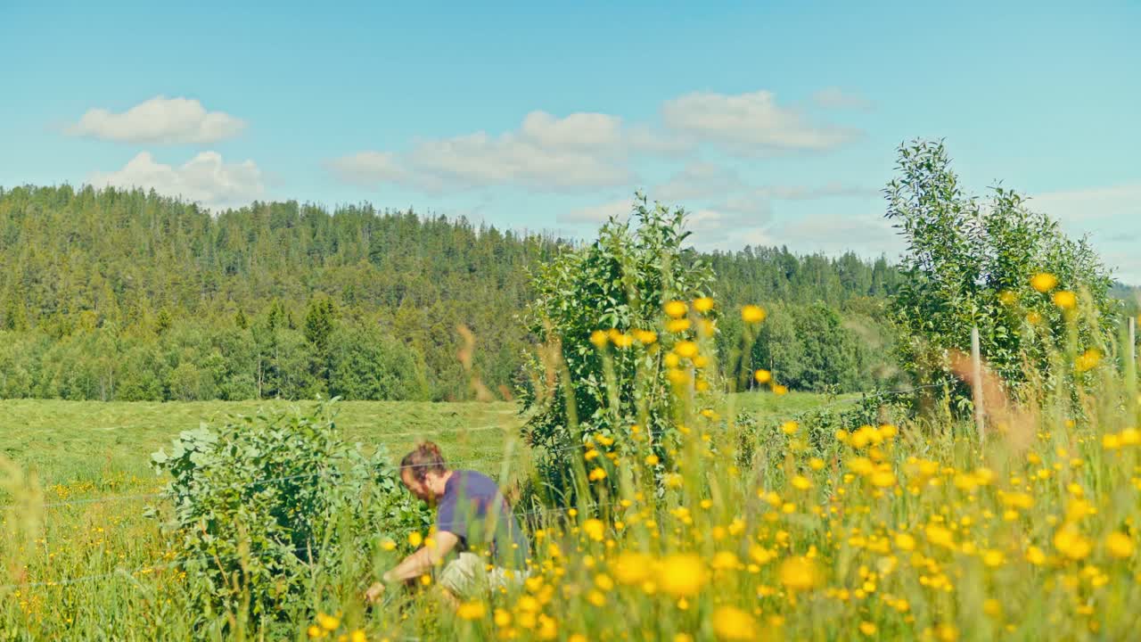 A Man Is Working In A Rural Nature Landscape On A Bright Sunny Day. Static Shot