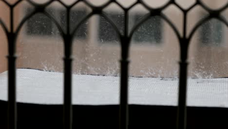 raindrops