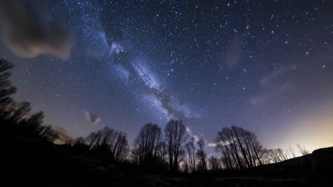 noche estrellada sobre el bosque