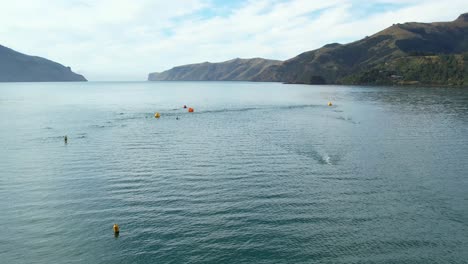 Aerial-view-of-triathlon-swimmers-navigating-course-with-exit-to-ocean-visible---Wainui,-Akaroa-Harbor