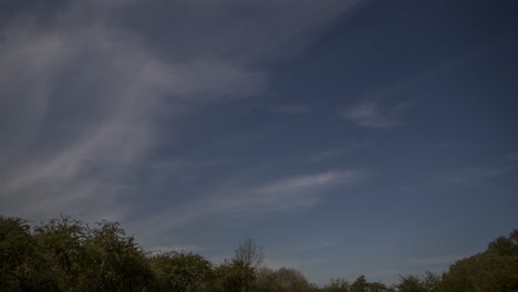 Stereo-typical-clouds-with-a-tree-line-running-across-the-bottom-of-the-shot