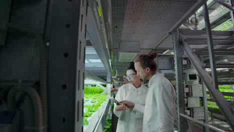 a group of scientists using modern technology to monitor the growth of healthy vegetables on an automated vertical farm with hydroponics system. to analyze the growth of plants by studying the composition and contributing data to the shared