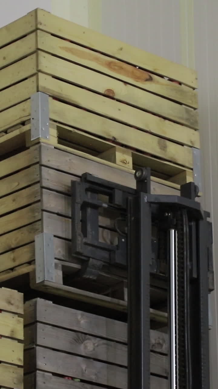 The employee on the electric forklift carry the container wiht ripe apples to inside a fridge airless storage camera. Production facilities of grading, packing and storage of crops of large warehouse. Vertical video