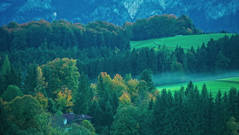 Cinematic-Time-Lapse-Landscape,-Pine-Trees-Valley-Around-Grass-Meadows,-Sunlight