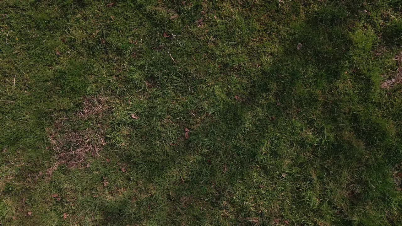 vista de arriba hacia abajo del campo de hierba verde en el campo durante un día de primavera - ascendente aéreo
