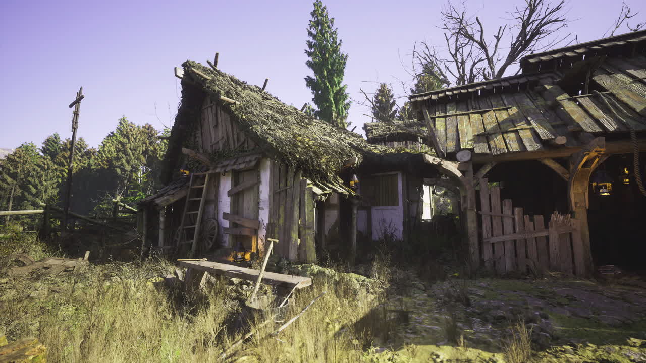 Abandoned rustic buildings surrounded by forest in quiet landscape