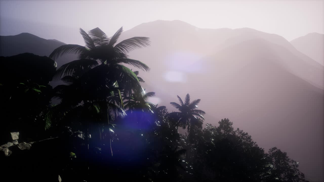 ⁇ 나무 를 가로지르는 해 가 지는 광선