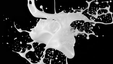 white milk splash animated overlay, transparent 4k video, alpha channel, prores 4444