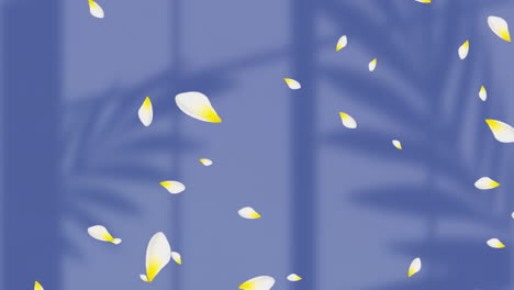 animation of floral pattern with petals falling and copy space on blue background