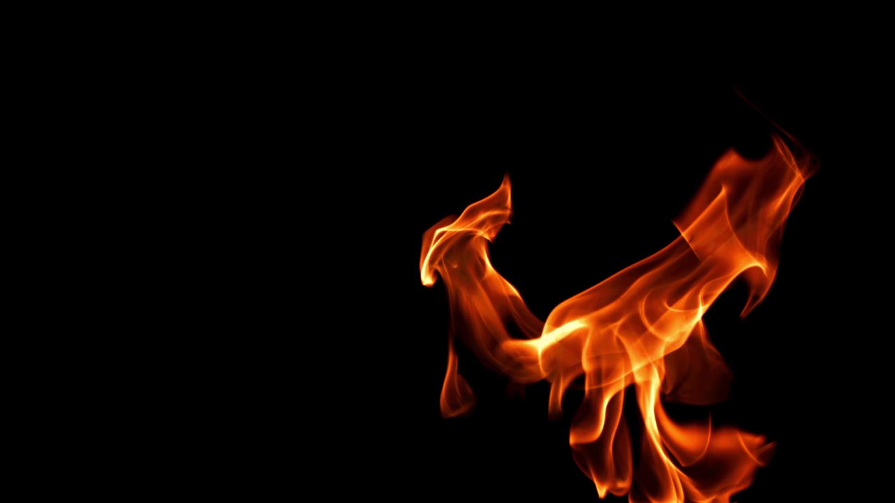 Real Fire Flames Burning on a Black Background
