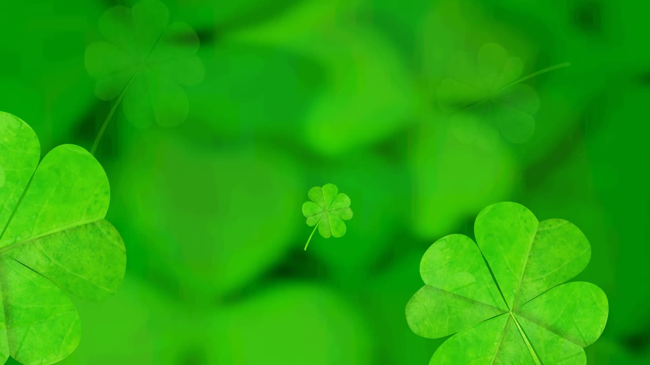 Animazione di foglie di trifoglio che cadono girando su sfondo verde.